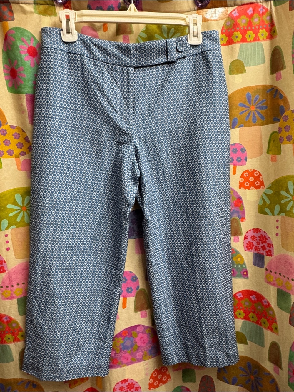 Ann Taylor Blue Geometric Capris. Size 6